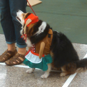 Catawba Valley Obedience Club, Hickory NC